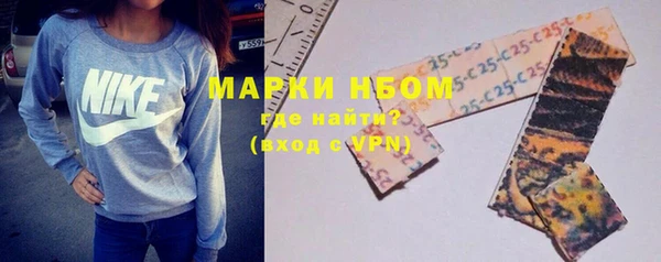 молекула духа Арсеньев