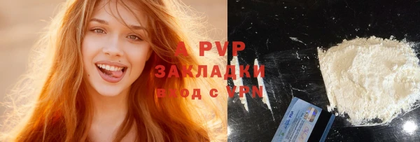 молекула духа Арсеньев