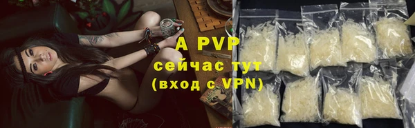 молекула духа Арсеньев