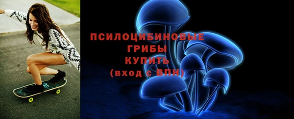 молекула духа Арсеньев