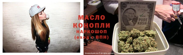 молекула духа Арсеньев