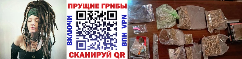 Галлюциногенные грибы ЛСД  где купить наркоту  Полевской 